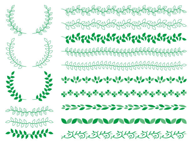 흰색 배경에 나뭇잎과 꽃이있는 나무 가지의 빈티지 세트 - backgrounds ivy leaf green stock illustrations