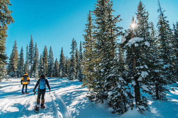 hombres y mujeres adultos caucásicos snowshoeing juntos en un sendero arreglado al aire libre en la nieve - recreational trail fotografías e imágenes de stock