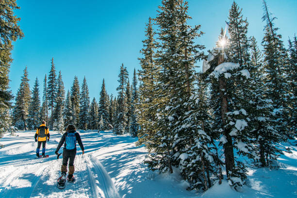 Male and Female Caucasian Adult Hikers Snowshoeing Together on a Groomed Path Outdoors in the Snow Male and Female Caucasian Adult Hikers Snowshoeing Together on a Groomed Path Outdoors in the Snow mesa photos stock pictures, royalty-free photos & images