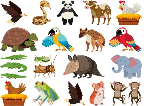 Vector illustration of Set of isolated objects theme wild animals