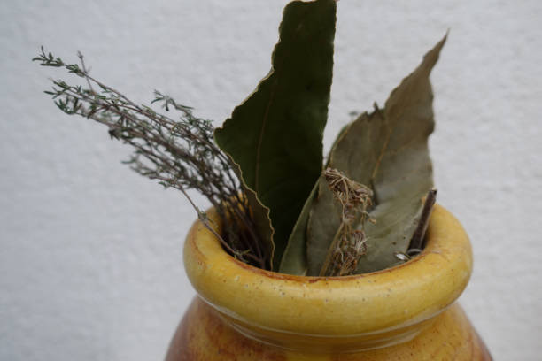 laurel tomilho fennel plantas aromáticas em um recipiente de cerâmica - herb bouquet garni herbes de provence bouquet - fotografias e filmes do acervo