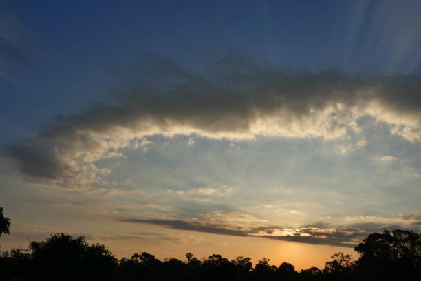 istock Silhouette of trees with beautiful sky at sunrise 1203887611