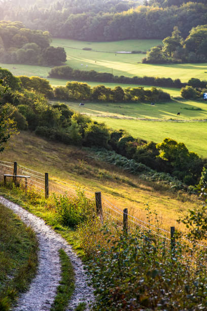 istock Guildford Surrey England Europe 1203889911