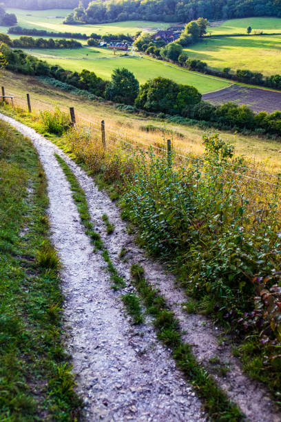 istock Guildford Surrey England Europe 1203892272