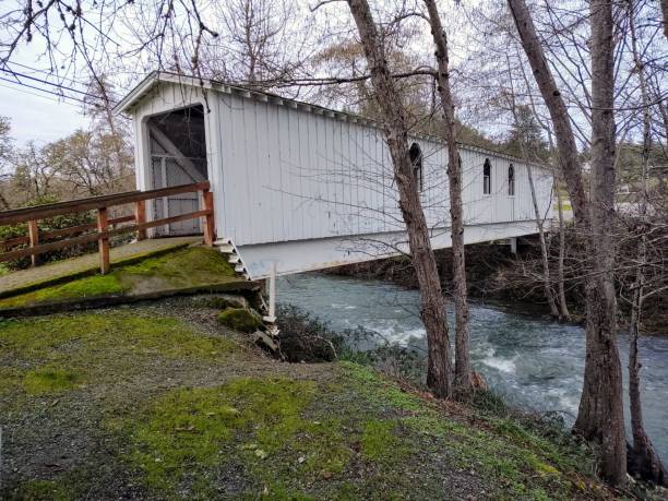 istock Old covered bridge in Canyonville Oregon 1203893773