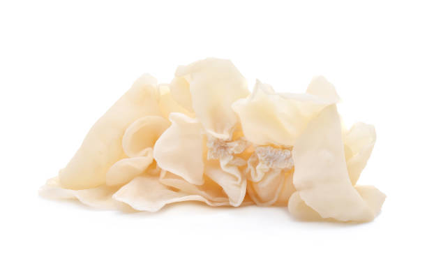 istock white ear mushroom or white jelly mushroom isolated on white background 1203895017