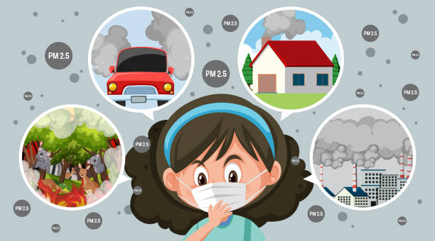 Girl Wearing Mask And Different Scenes Showing Causes Stock Illustration - Download Image Now - iStock Girl Wearing Mask And Different Scenes Showing Causes Stock Illustration - Download Image Now - iStock