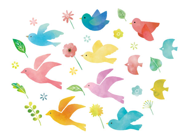 ptaki i kwiaty akwarela - ptak obrazy stock illustrations