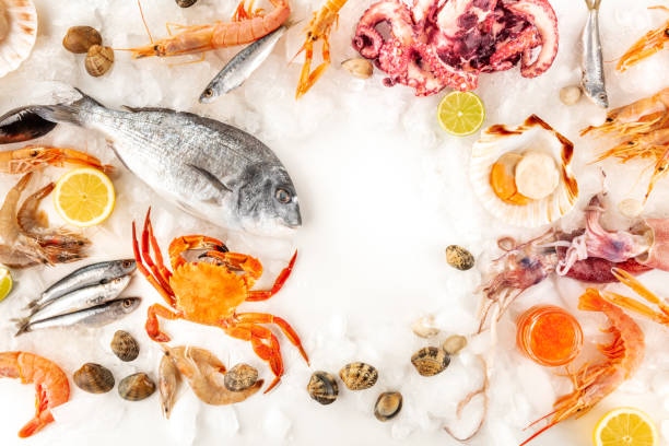 istock Fish and seafood variety, shot from above on a white background, a frame with a place for text. Fish, shrimps, crab, squid, clams, octopus and scallops, a design template with copy space 1203897440