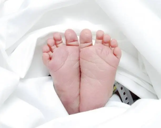 Photo of Baby Feet