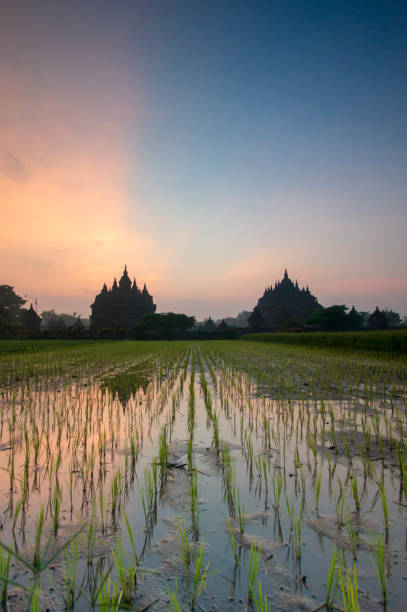istock Plaosan Twin Temple 1203901902