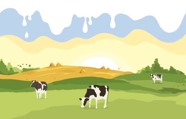 Abstract rural landscape with cows. Vector illustration, fields and meadows with milk drops cow stock illustrations