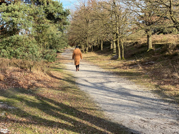istock Woman walking in the  moor 1203905823