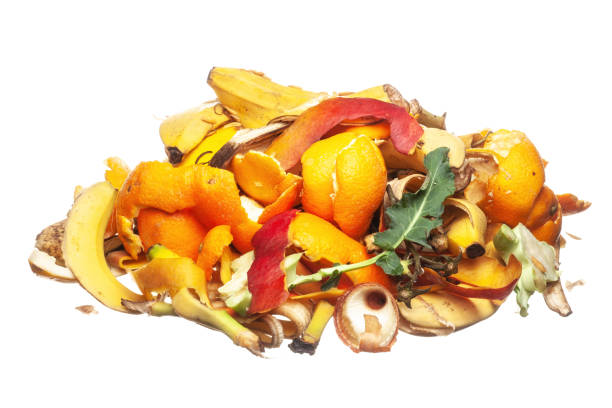 진짜 냄새 나는 과일과 채식 폐기물의 힙 - garbage food compost unpleasant smell 뉴스 사진 이미지