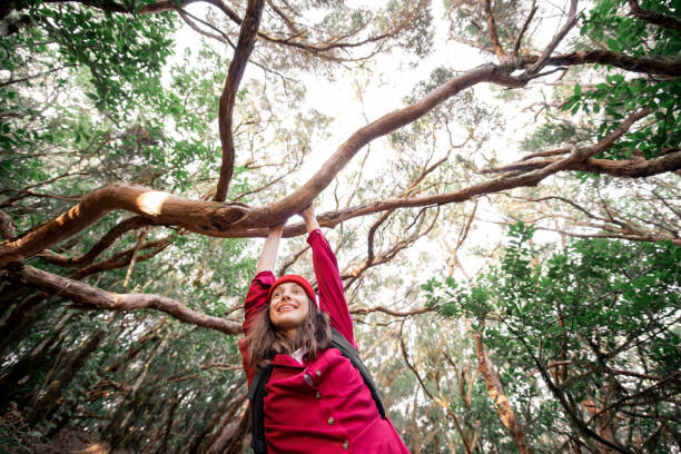 istock Woman traveling in the forest 1203916076
