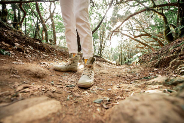 istock Woman trekking on the forest footpath 1203916116