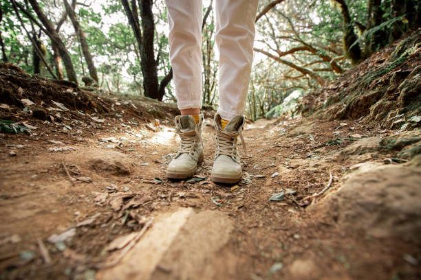istock Woman trekking on the forest footpath 1203916235