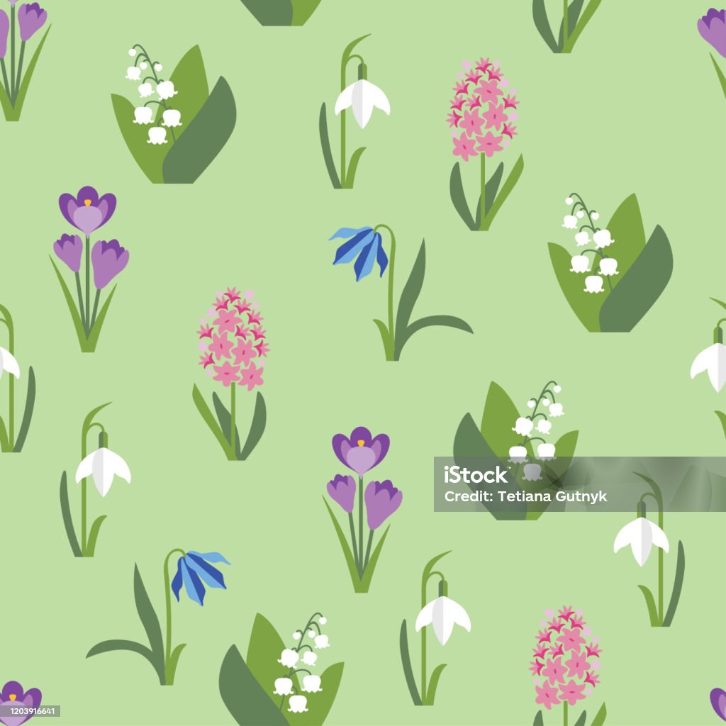 Ilustración de Bonitas Flores De Primavera Sobre El Patrón Sin Costuras De Fondo Verde Flores Silvestres En Estilo Plano Simple Ilustración Vectorial De Crocus Jacinto Lirio Del Valle Muscari Scilla Y Gota Ilustración de Bonitas Flores De Primavera Sobre El Patrón Sin Costuras De Fondo Verde Flores Silvestres En Estilo Plano Simple Ilustración Vectorial De Crocus Jacinto Lirio Del Valle Muscari Scilla Y Gota