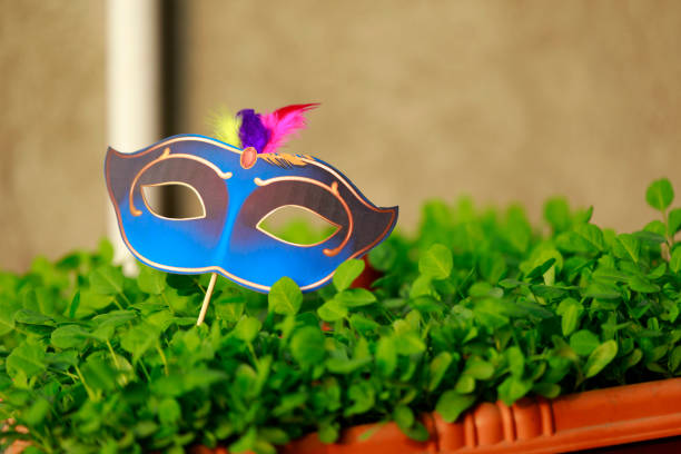 carnival festival mask.