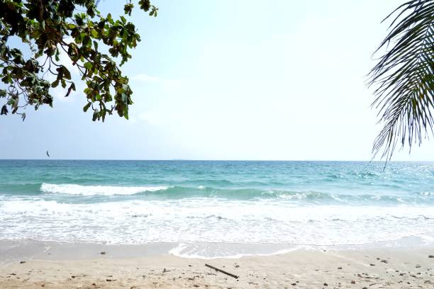 istock Sea view against blur sky white fluffy clouds in bright day 1203919503