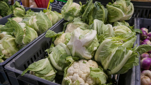 istock fresh organic cauliflower on the market place 1203919964