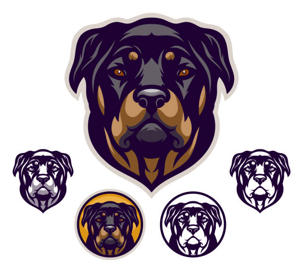 ilustraciones, imágenes clip art, dibujos animados e iconos de stock de emblema de la cabeza de rottweiler - rottweiler