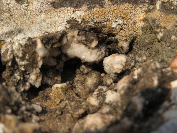 istock Natural crystals found in a rock at Galilee 1203928366