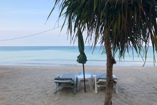 istock Pictures beach, palm trees, sea, sand 1203929533