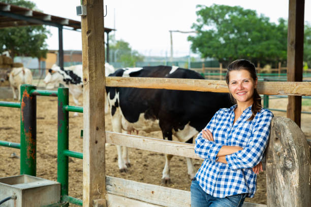 istock Smiling female farmer standing near cowshed 1203931013