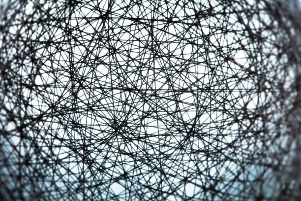Tangled In The Web Tangled In A Web Stock Photos, Pictures & Royalty-Free Images - iStock