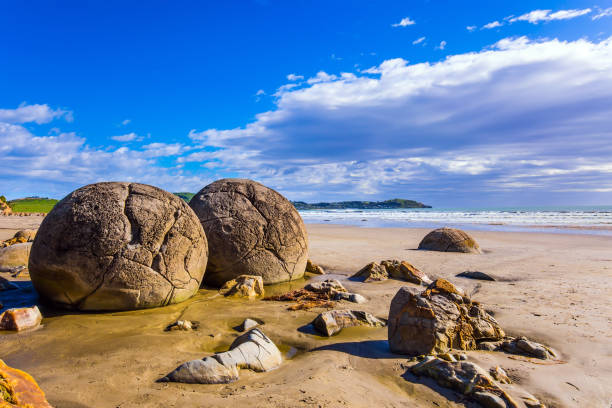 istock New Zealand. Low tide 1203935184