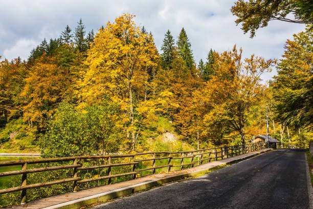 istock The road around the lake 1203935481