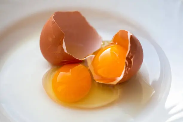 Photo of Double yolk of a broken egg on a white plate.