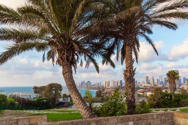 istock Panorama of Tel Aviv. Sunset 1203935776