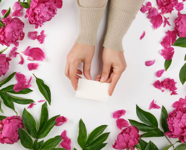 istock female hand holding a stack of white empty paper business cards 1203936999