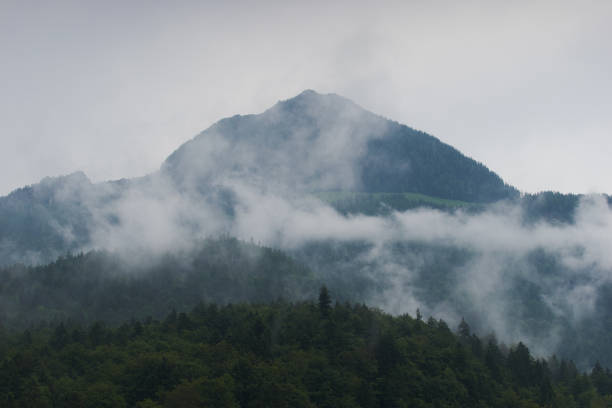 istock Mountain surrounded by clouds with forest and fog 1203937434