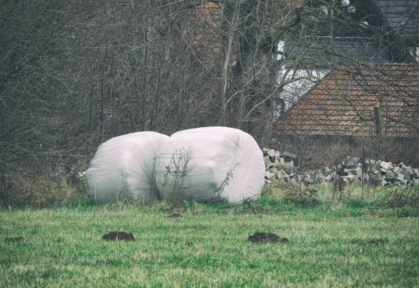 istock Wrapped hay balls on the field 1203937554