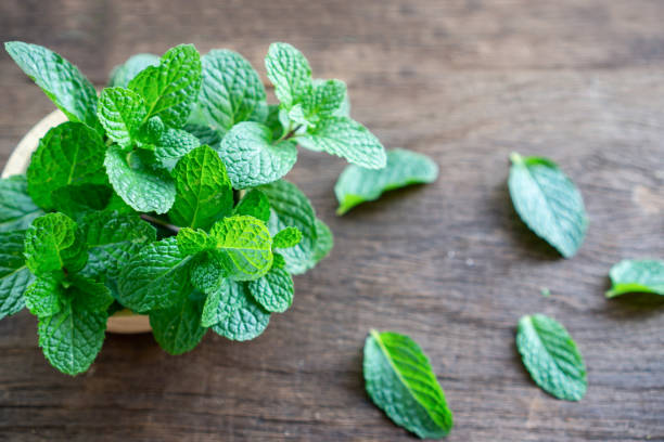 istock fresh green mint leaves on wooden table closeup 1203939068