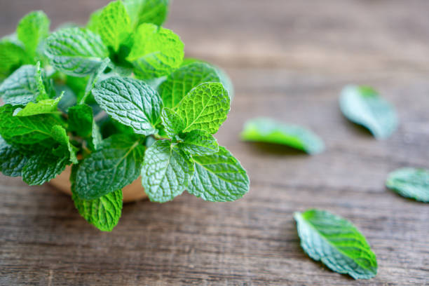 istock fresh green mint leaves on wooden table closeup 1203939119