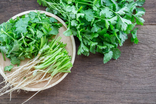 istock fresh green parsley leaves, root ,slice on wooden table 1203939149