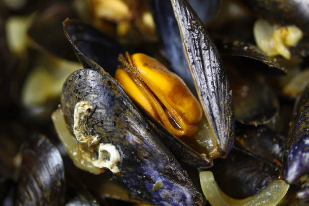 istock mould cooked with provencal al 1203939419