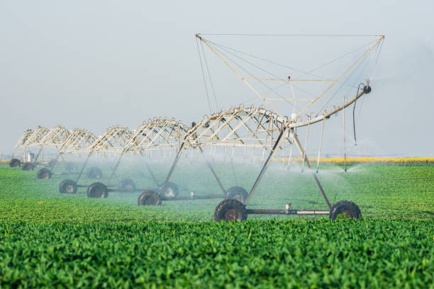 istock Irrigation system watering soybean field 1203940736