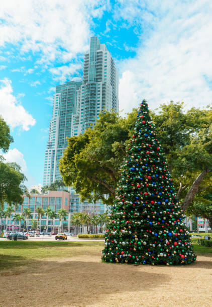 istock Christmas tree in downtown of Miami 1203940872