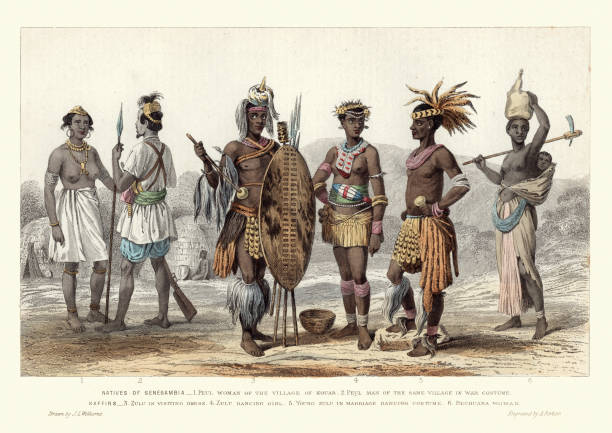 illustrations, cliparts, dessins animés et icônes de costumes de mode africaine, senegambia, hommes et femmes zoulous, années 1870 - south africa africa zulu african culture