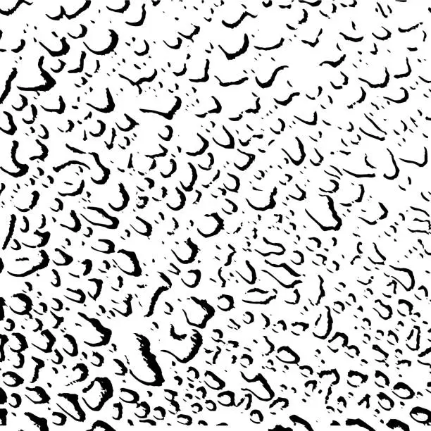 Vector illustration of Seamless pattern of Raindrops silhouette on white background. Vector