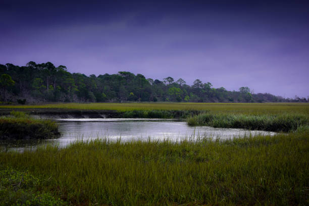 istock Jekyll Island landscape 1203942656