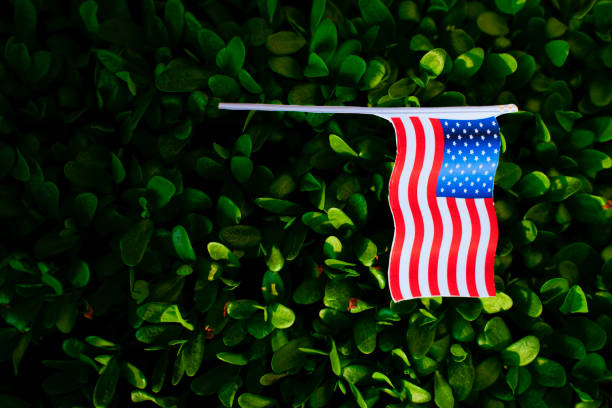 istock president day concept, American flag with green background 1203942809