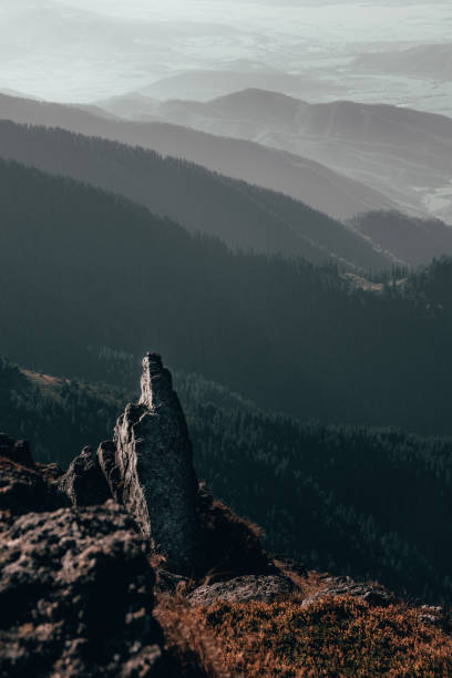 istock Beauty of nature 1203943572