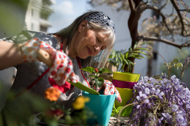 istock Woman watering plants on terrace 1203945498