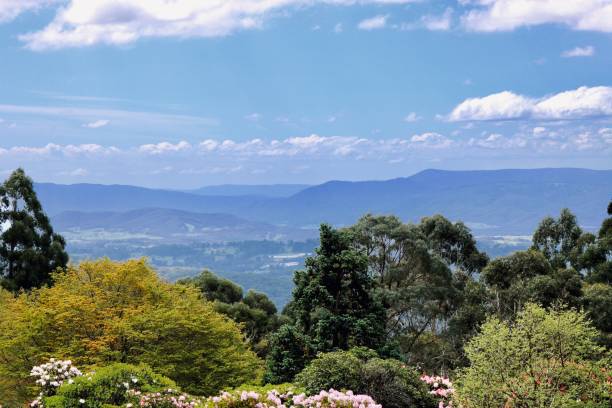 490+ Dandenong Photos Photos, taleaux et images libre de droits iStock